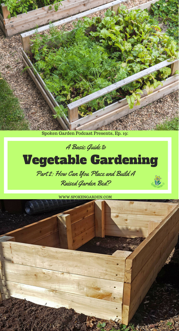 Ep19 Vegetable Gardening Part 2 – How Can You Place and Build a DIY