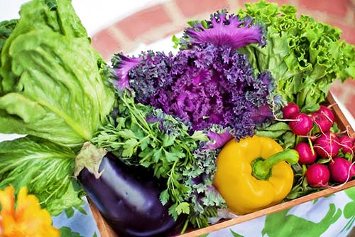 Colorful garden vegetables in Spoken Garden's Vegetable Gardening Basics podcast