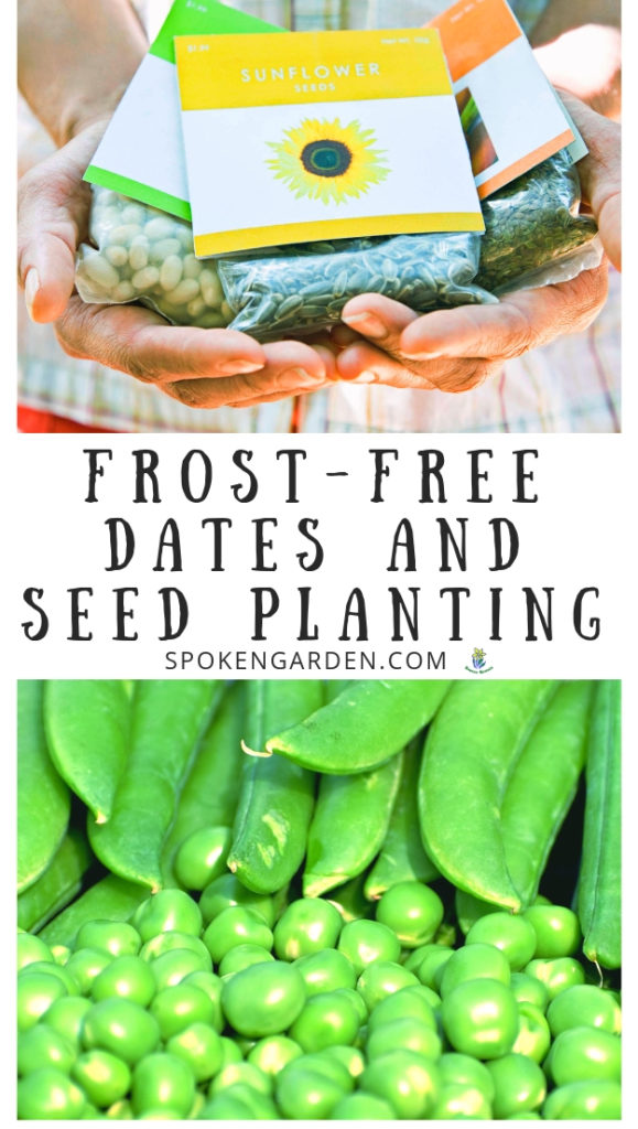 Frost-Free Dates: When Should You Plant Seeds In the Spring? - DIY ...